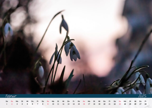 Kalender 2025