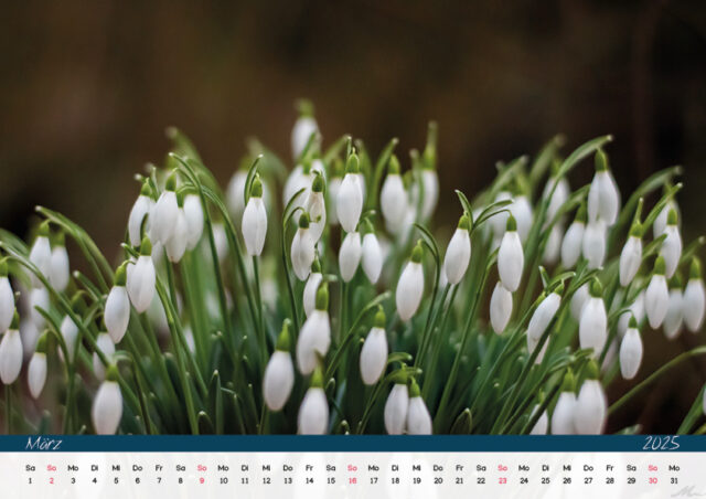 Kalender 2025