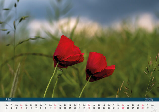 Kalender 2025