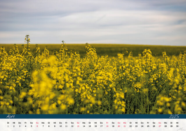 Kalender 2025