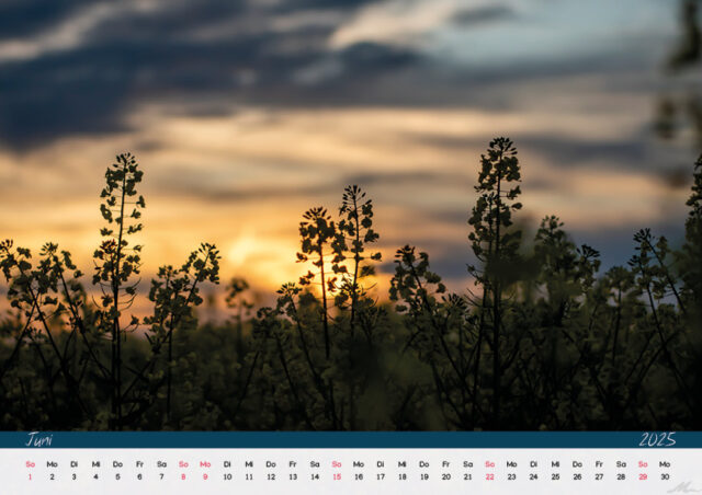 Kalender 2025