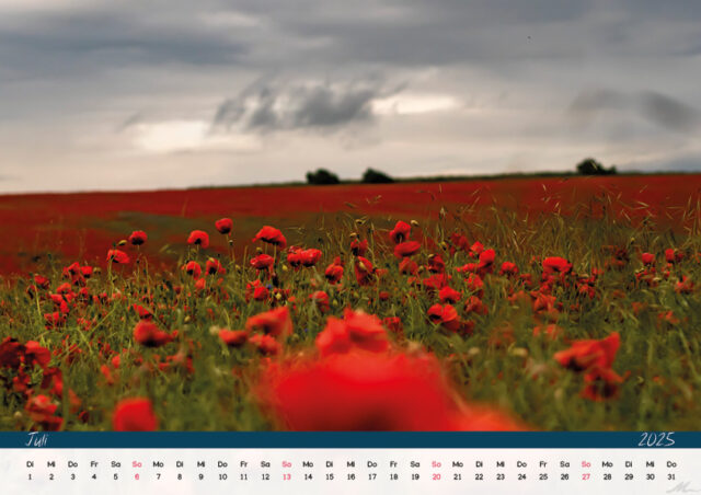 Kalender 2025