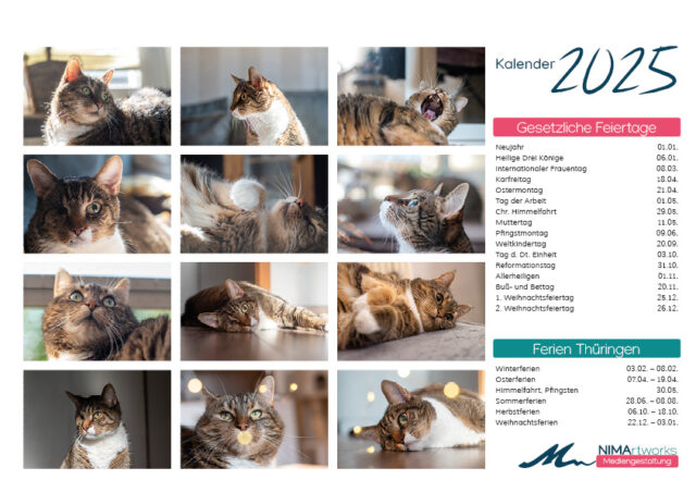 Katzenkalender 2025