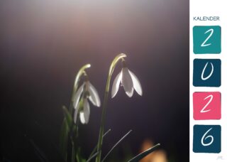 Kalender 26 Druck_Seite_01