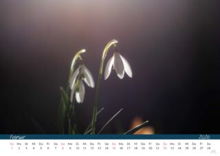 Kalender 26 Druck_Seite_04