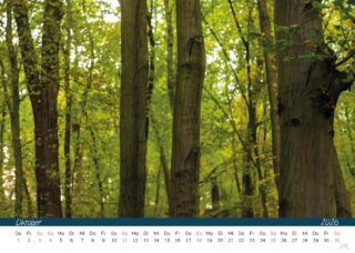 Kalender 26 Druck_Seite_12