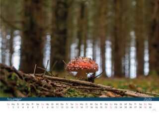 Kalender 26 Druck_Seite_13