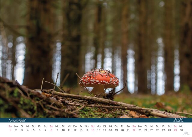 Kalender 2026