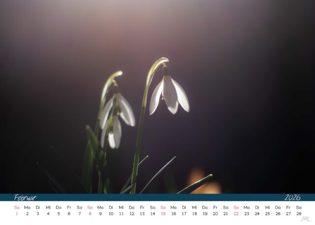 Kalender 2026 Kalender 2026