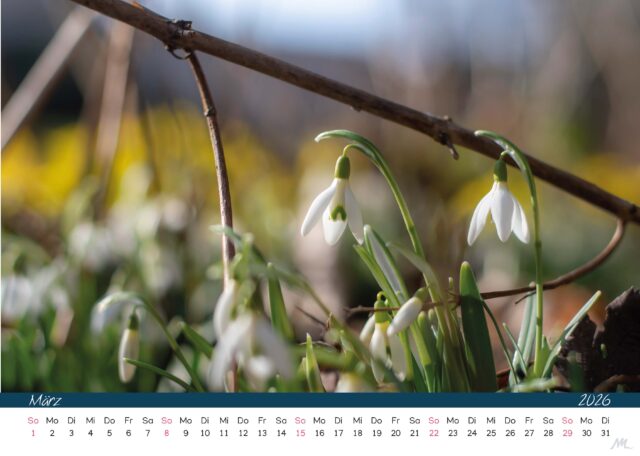 Kalender 2026