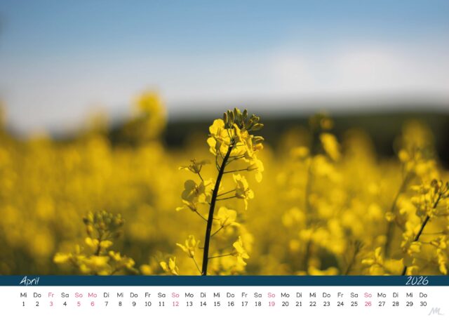 Kalender 2026