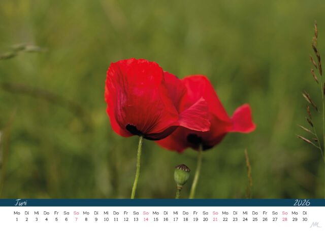 Kalender 2026 Kalender 2026