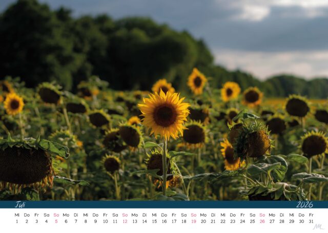 Kalender 2026 Kalender 2026