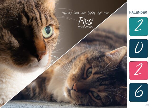 Katzenkalender