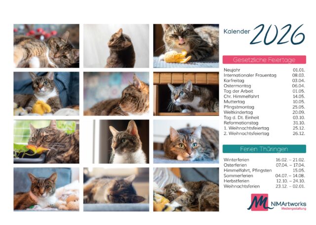 Katzenkalender 2026 Katzenkalender 2026