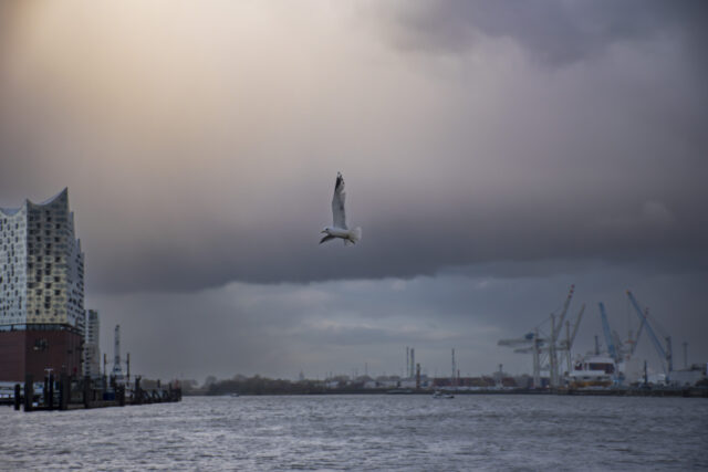 Hamburg © Nicole Mattern
