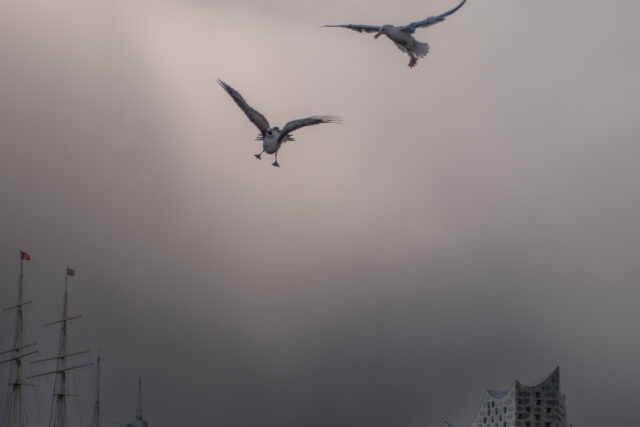 Hamburg © Nicole Mattern