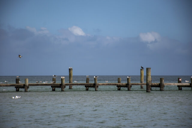 Ostsee © Nicole Mattern