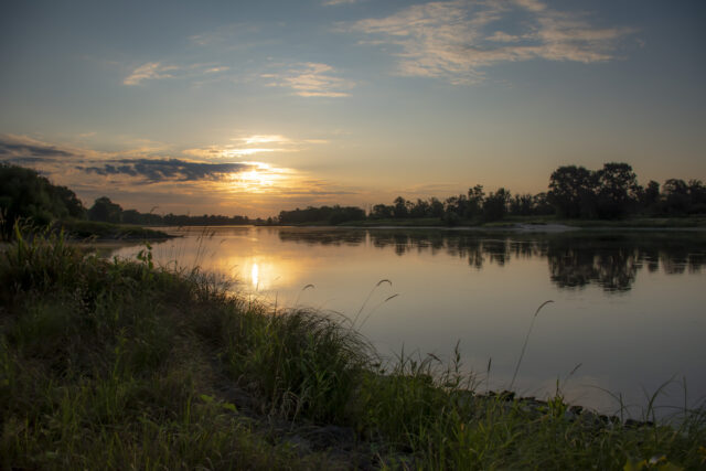 Elbe Elbe