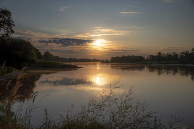 Elbe Elbe