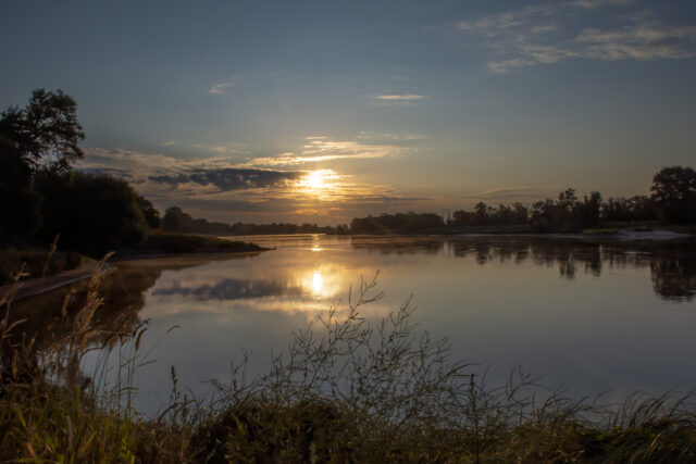 Elbe Elbe