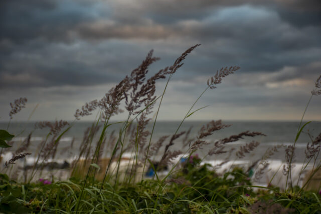 ostsee-8