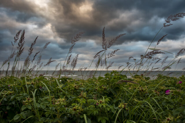 ostsee-9