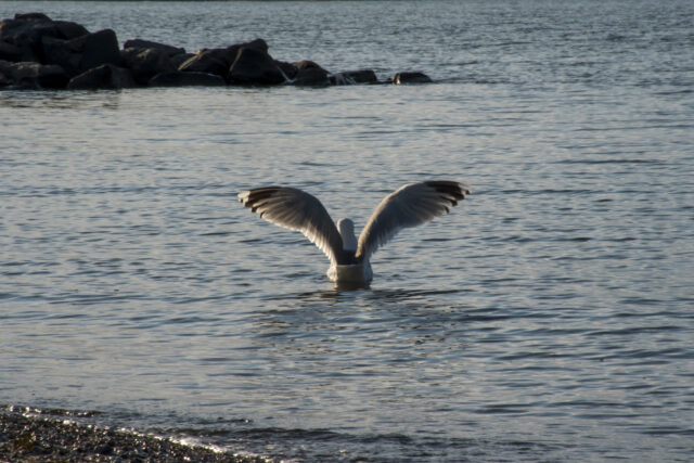 ostsee-10