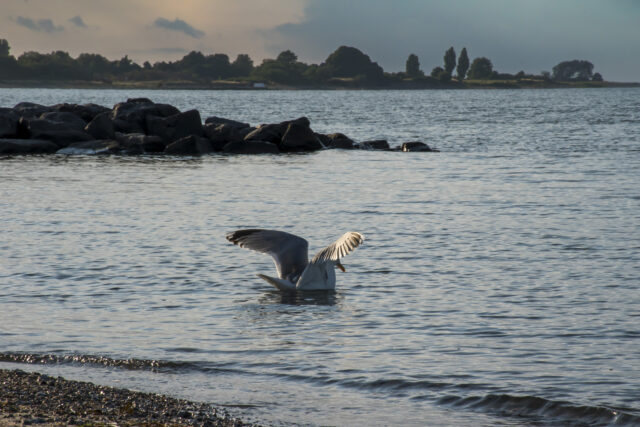 ostsee-13