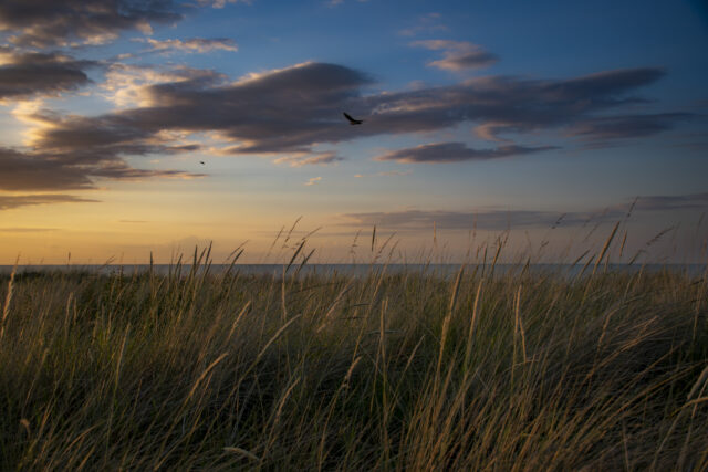 ostsee-15